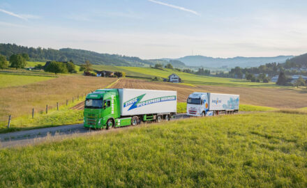 Zingg Transporte